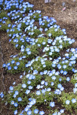 写真 2026-02-19 16 12 17_R_1