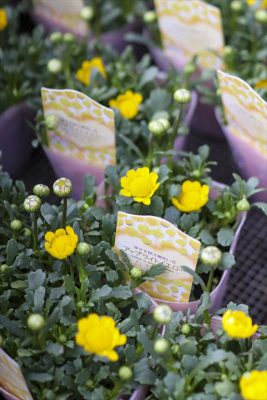 写真 2026-02-19 16 37 08_R_1