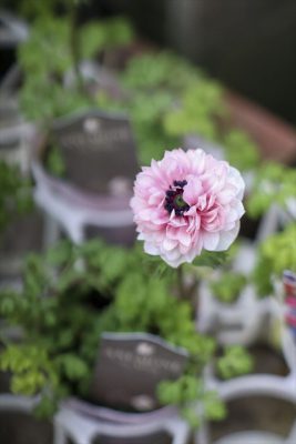 写真 2026-02-25 15 30 34_R_1