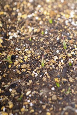 写真 2026-02-19 16 10 15_R_1