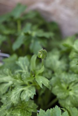 写真 2026-02-19 16 19 11_R_1