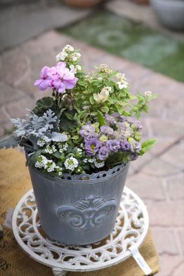 写真 2026-02-16 8 04 26_R_1