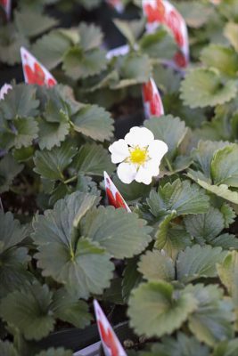 写真 2026-02-18 16 00 46_R_1