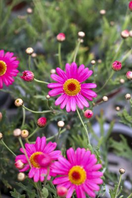 写真 2026-02-27 16 43 41_R_1