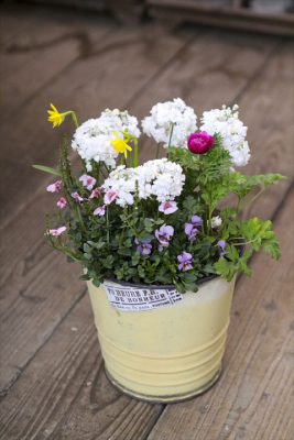 写真 2026-02-16 8 09 23_R_1