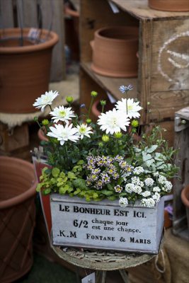 写真 2026-02-22 15 33 02_R_1