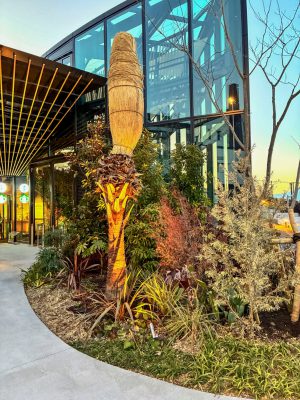 写真 2026-02-03 18 02 12_1