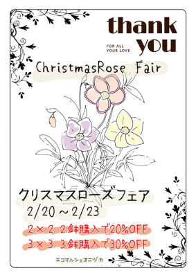 クリスマスローズフェア2026