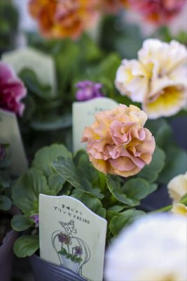 写真 2026-02-06 15 29 16_R_1