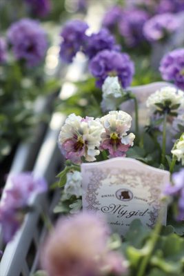 写真 2026-02-04 15 00 44_R_1