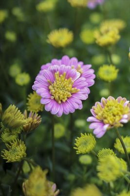 写真 2026-02-07 11 43 55_R_1