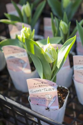 写真 2026-02-18 15 31 53_R_1