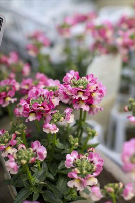 写真 2026-02-19 16 14 53_R_1