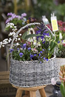 写真 2026-02-16 15 40 09_R_1