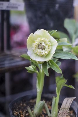 写真 2026-02-11 16 40 47_R_1