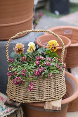 写真 2026-02-06 16 04 22_R_1