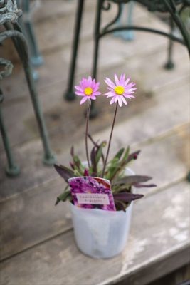 写真 2026-02-25 15 35 17_R_1