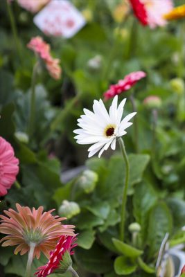 写真 2026-02-05 11 12 19_R_1