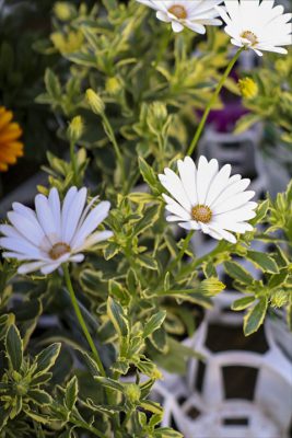 写真 2026-02-23 16 25 46_R_1