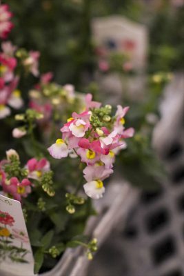 写真 2026-02-24 17 02 55_R_1