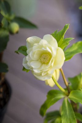 写真 2026-02-23 16 48 03_R_1