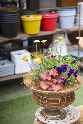 写真 2026-02-10 14 59 04_R_1