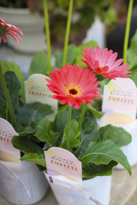 写真 2026-02-05 11 12 29_R_1