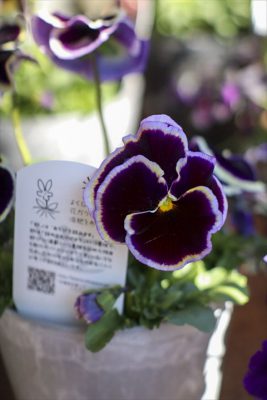 写真 2026-02-03 11 36 04_R_1