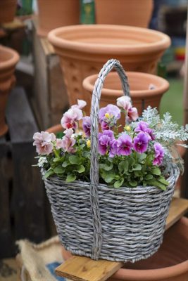 写真 2026-02-06 16 02 28_R_1