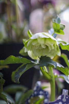 写真 2026-02-26 16 24 38_R_1