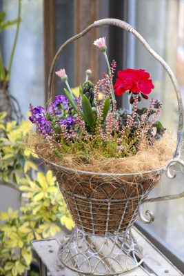 写真 2026-02-10 14 51 27_R_1