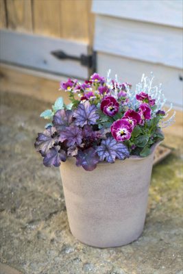 写真 2026-02-01 16 42 50_R_1