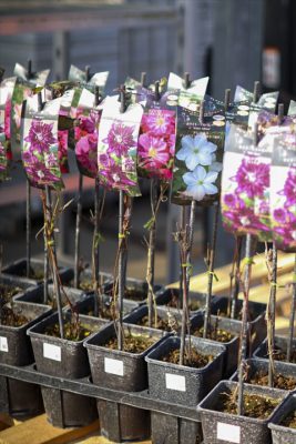 写真 2026-02-12 10 42 16_R_1