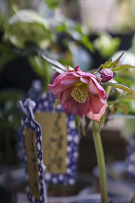 写真 2026-02-26 16 24 28_R_1