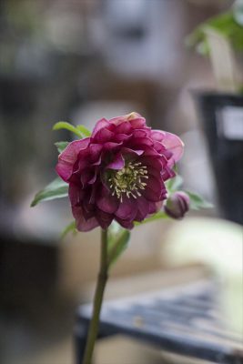 写真 2026-02-11 16 40 17_R_1