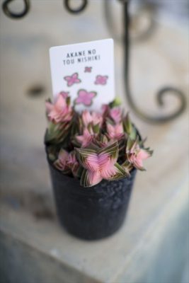 写真 2026-02-04 15 02 50_R_1