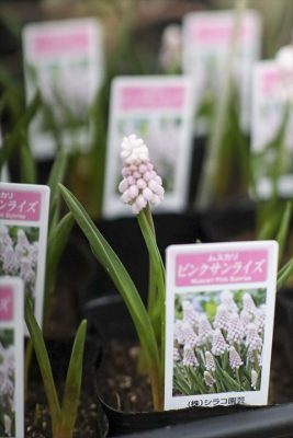 写真 2026-02-10 16 49 23_R_1