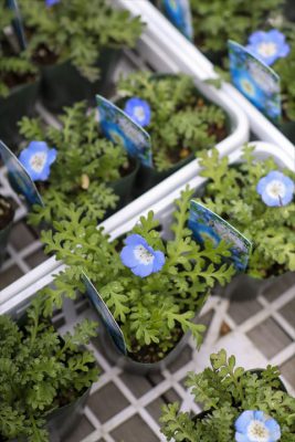 写真 2026-02-19 16 03 47_R_1