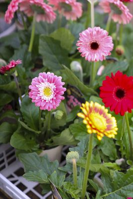 写真 2026-02-05 11 12 59_R_1