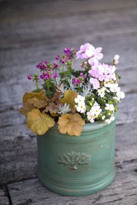 写真 2026-02-21 16 55 48_R_1