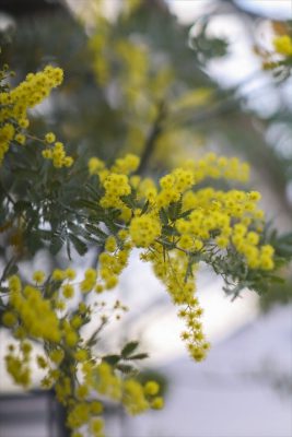 写真 2026-02-20 15 38 18_R_1