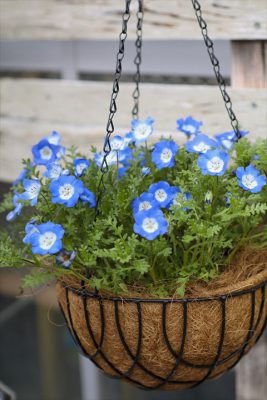 写真 2026-02-19 16 40 02_R_1