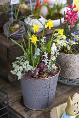 写真 2026-02-16 15 38 57_R_1