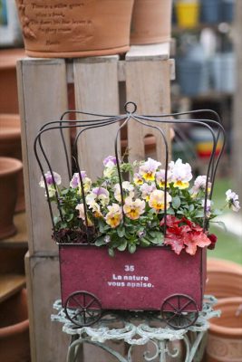 写真 2026-02-16 15 49 21_R_1