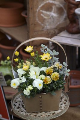 写真 2026-02-19 16 32 53_R_1