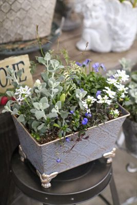 写真 2026-02-16 15 39 36_R_1