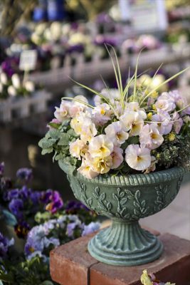 写真 2026-02-23 16 35 39_R_1