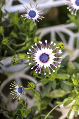 写真 2026-02-23 16 24 50_R_1