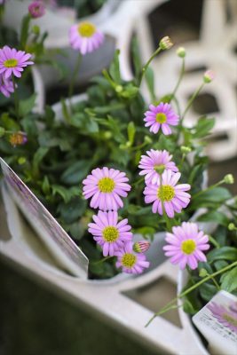 写真 2026-02-20 15 56 58_R_1