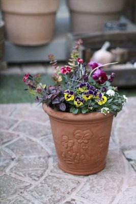 写真 2026-02-01 16 54 35_R_1